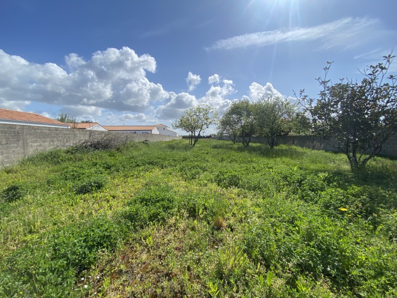 achat vente Maison 119 m² vendée