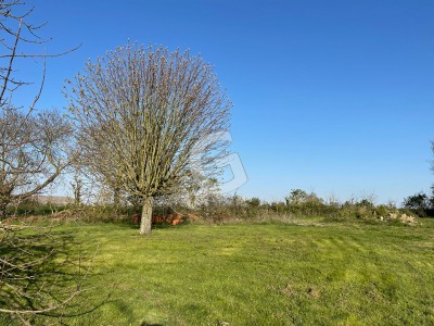 TERRAIN HORS LOTISSEMENT