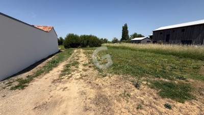 TERRAIN CONSTRUCTIBLE - 1437 m² - A VENDRE - LES CONCHES - LONGEVILLE SUR MER