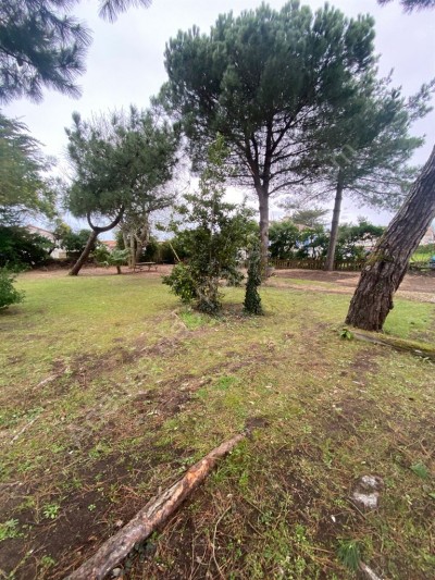 Terrain à vendre Olonne-sur-Mer immobilier vendée