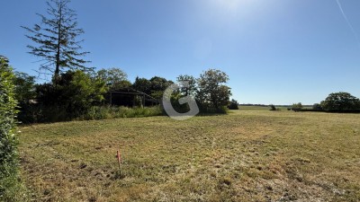 Terrain à vendre La Jonchère immobilier vendée