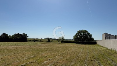 Terrain à vendre La Jonchère immobilier vendée