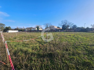 Terrain à vendre Angles immobilier vendée