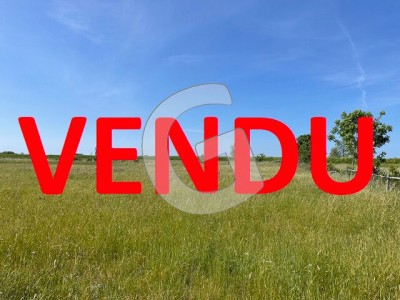 Terrain à vendre Saint-Denis-du-Payré immobilier vendée