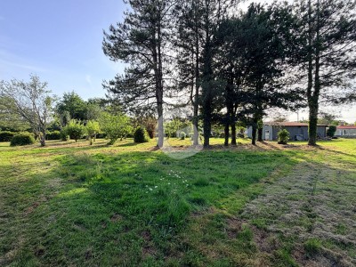 Terrain à vendre Saint-Vincent-sur-Graon immobilier vendée