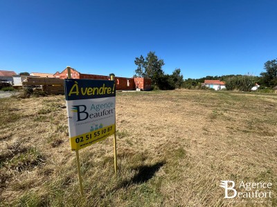 Terrain à vendre Saint-Hilaire-de-Riez immobilier vendée
