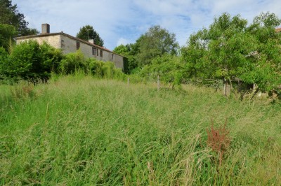 Terrain à vendre La Jaudonnière immobilier vendée