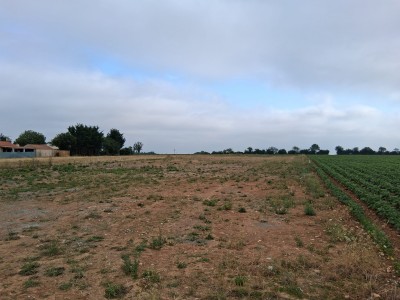 Terrain à vendre Sainte-Hermine immobilier vendée