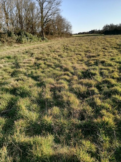 Terrain à bâtir à vendre Coëx immobilier vendée