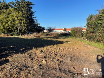 Terrain à vendre Saint-Hilaire-de-Riez immobilier vendée