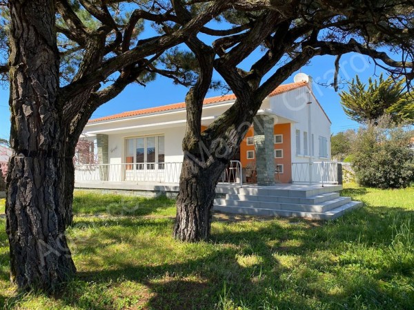 Maison à vendre Brétignolles-sur-Mer 5838 Les amateurs d'architecture géométrique des années 60 apprécieront cette villa balnéaire dans les pins à 200 m de l'océan : entrée