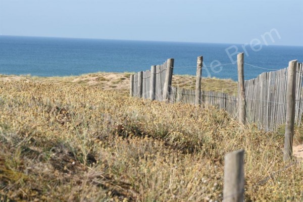 Terrain à vendre Brétignolles-sur-Mer 5693 Terrain constructible et viabilisé d'une superficie de 238m². La plage des Dunes à pied !!!