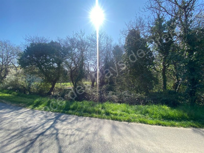 Terrain à vendre 1228 m²