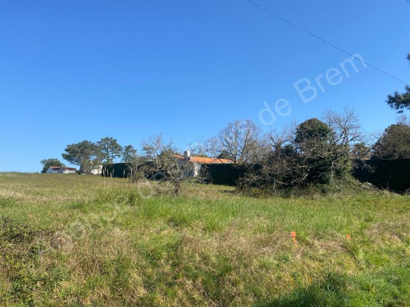 achat vente Terrain 1228 m² vendée