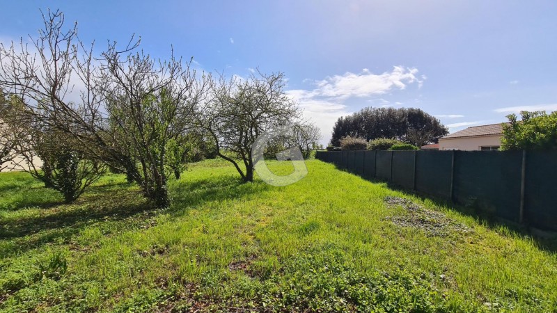 vente Terrain Jard-sur-Mer 976 m²