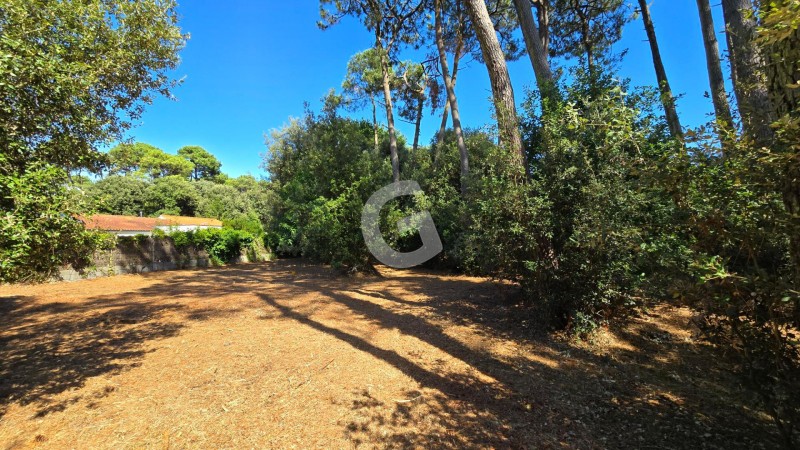Terrain à vendre 1187 m²