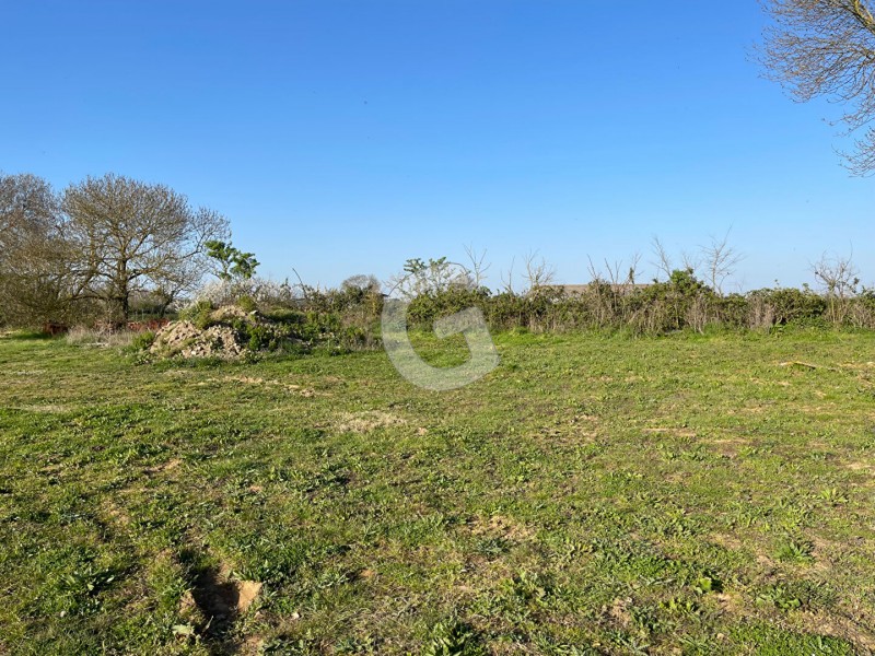 immobilier Terrain à vendre La Jonchère 81 375 euros