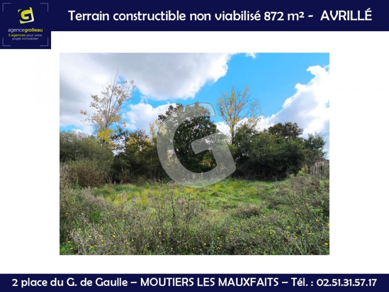 immobilier Terrain à vendre Avrillé 55 250 euros