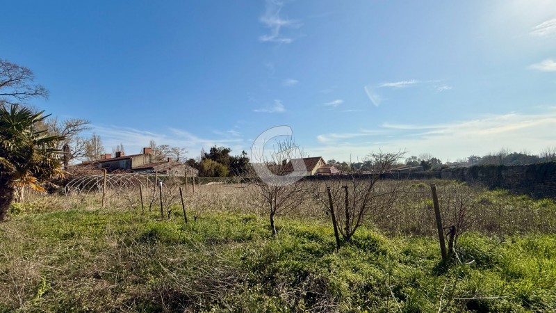 immobilier Maison à vendre Angles 584 000 euros