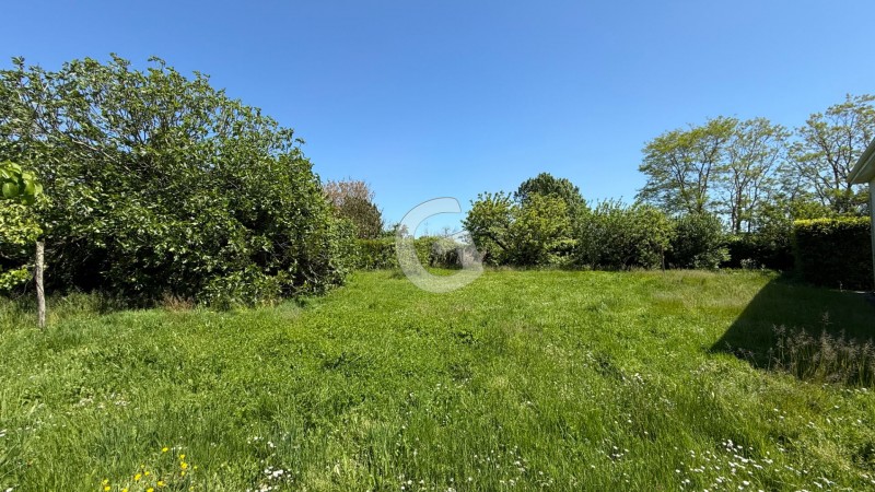 vente Terrain Longeville-sur-Mer 770 m²
