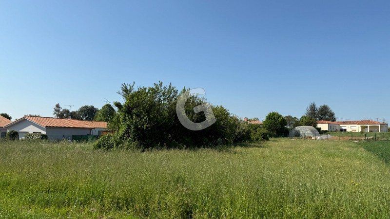 vente Terrain Saint-Benoist-sur-Mer 1131 m²