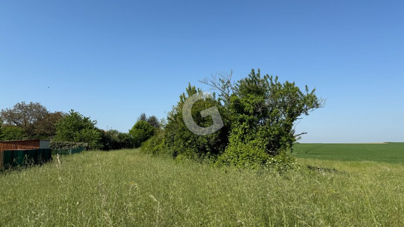 vente Terrain Saint-Benoist-sur-Mer 983 m²