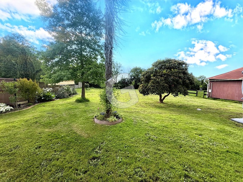 immobilier Maison à vendre Nieul-le-Dolent 251 710 euros