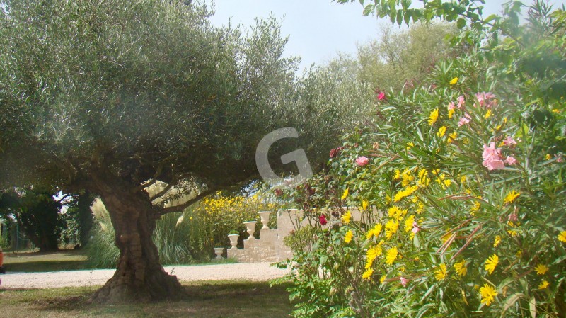 vente Maison Saint-Michel-en-l'Herm 244 m²
