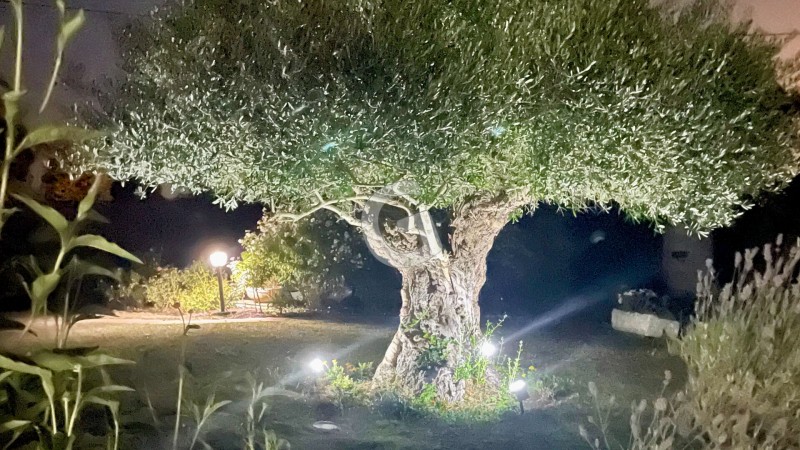 achat vente Maison 11 pièces 244 m² vendée