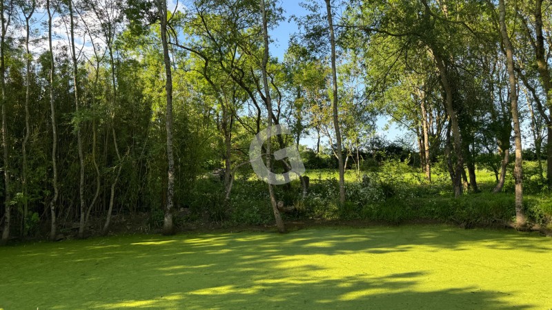 achat vente Maison 4 pièces 82 m² vendée