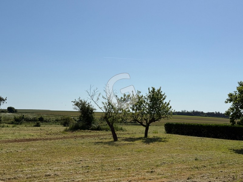 vente Terrain La Jonchère 938 m²