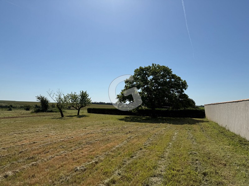 immobilier Terrain à vendre La Jonchère 70 900 euros