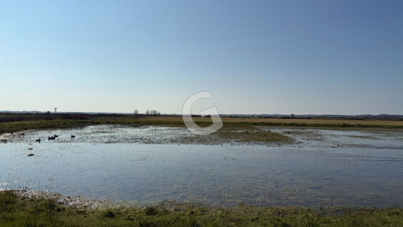 immobilier Terrain à vendre Angles 108 500 euros