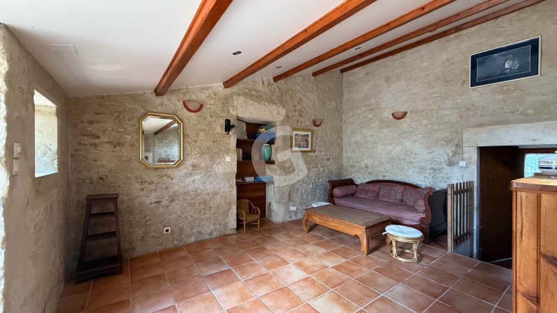 achat vente Maison 8 pièces 219 m² vendée