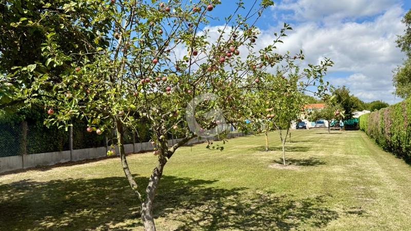 Maison à vendre Grues