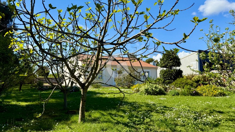 immobilier Maison à vendre Angles 232 900 euros