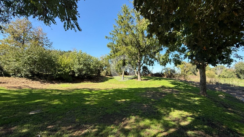 achat vente Maison 6 pièces 124 m² vendée