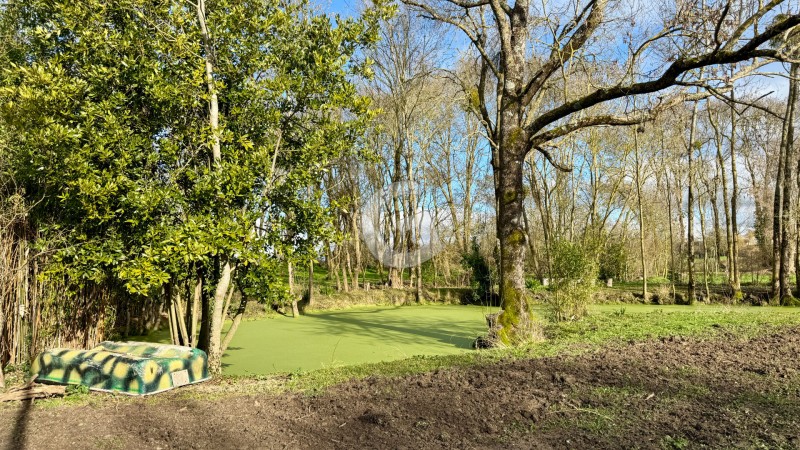 immobilier Maison à vendre La Jonchère 274 700 euros