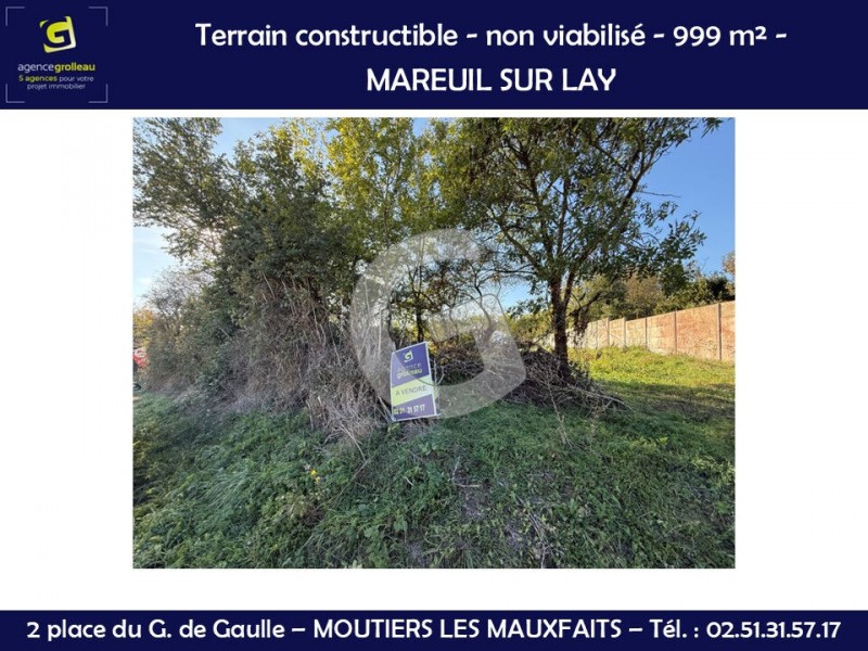 immobilier Terrain à vendre Mareuil-sur-Lay-Dissais 50 000 euros