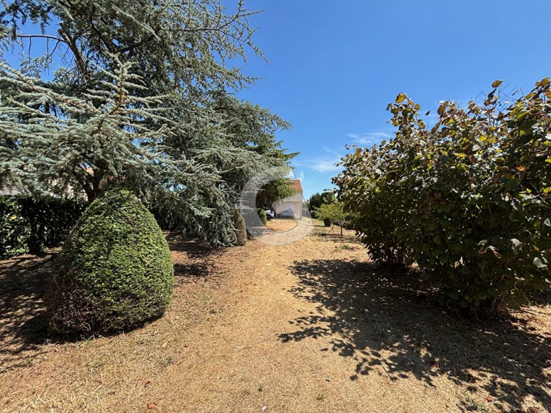 achat vente Maison 5 pièces 119 m² vendée