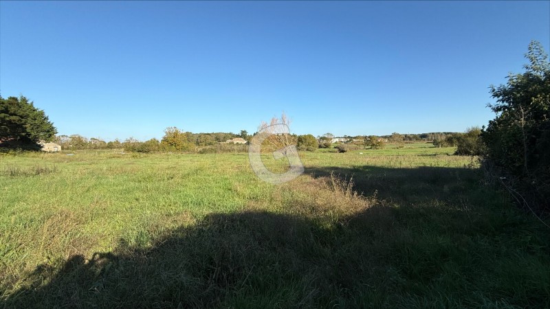 immobilier Terrain à vendre Saint-Vincent-sur-Jard 292 500 euros