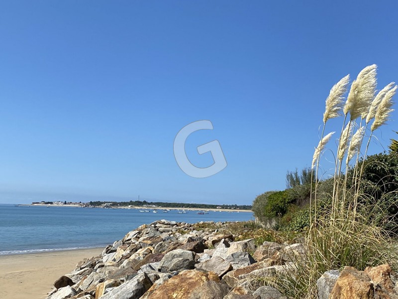 vente Terrain La Tranche-sur-Mer 314 m²
