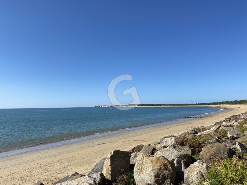 vente Terrain La Tranche-sur-Mer 297 m²