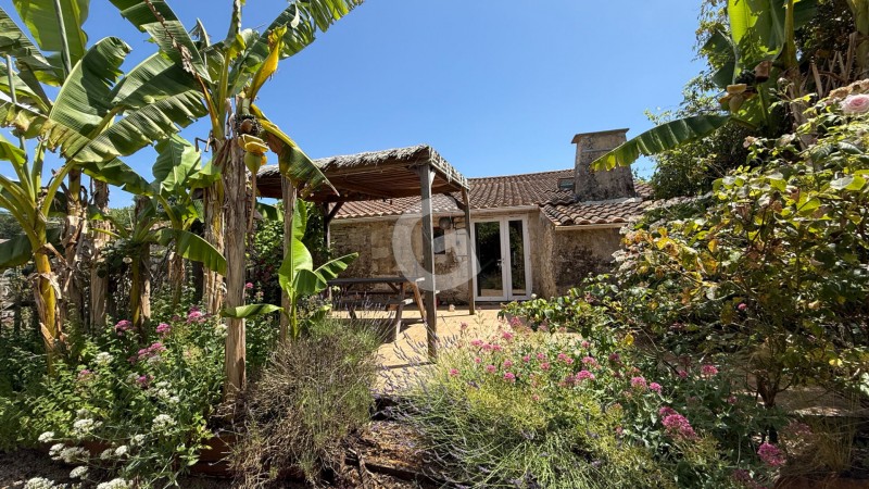 immobilier Maison à vendre Lairoux 350 000 euros