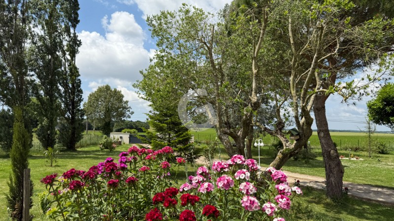 Maison à vendre La Jonchère