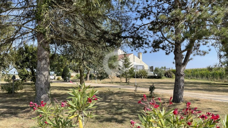 achat vente Maison 5 pièces 297 m² vendée