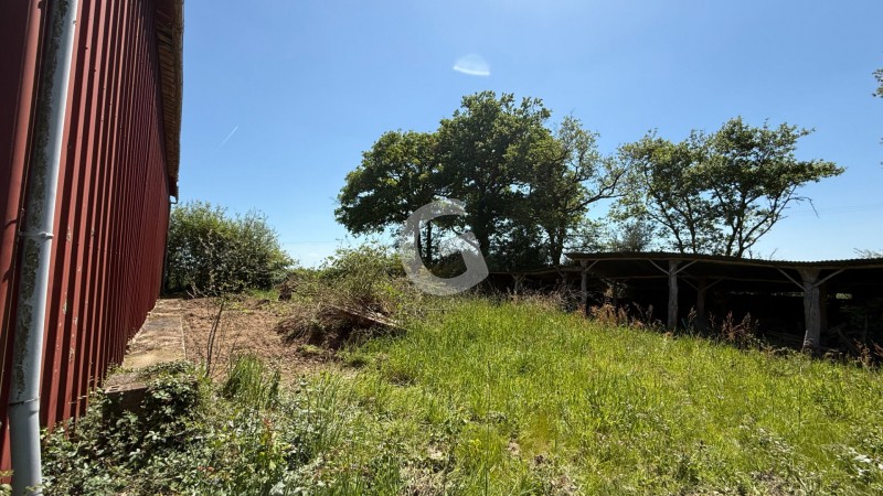 vente Terrain Nieul-le-Dolent 1262 m²
