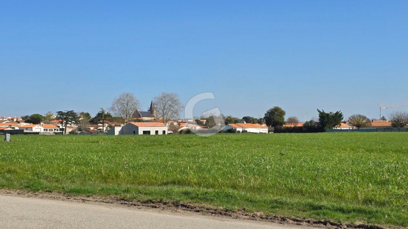 vente Terrain Longeville-sur-Mer 300 m²