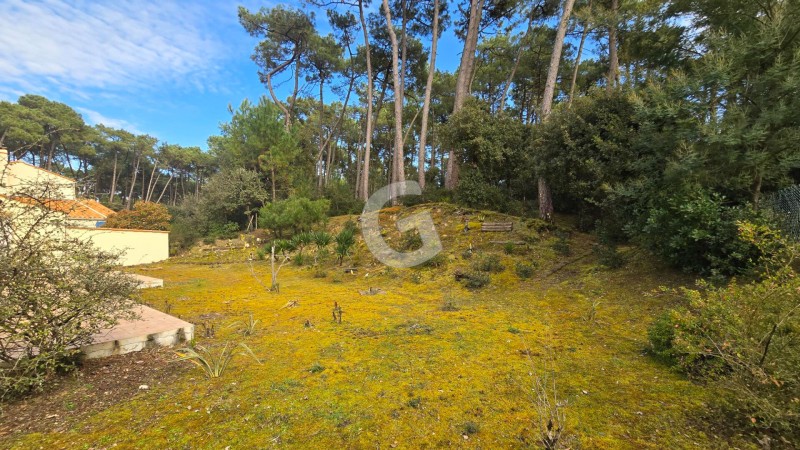 achat vente Maison 4 pièces 85 m² vendée