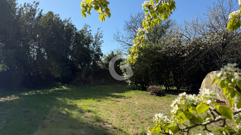 achat vente Terrain 1043 m² vendée